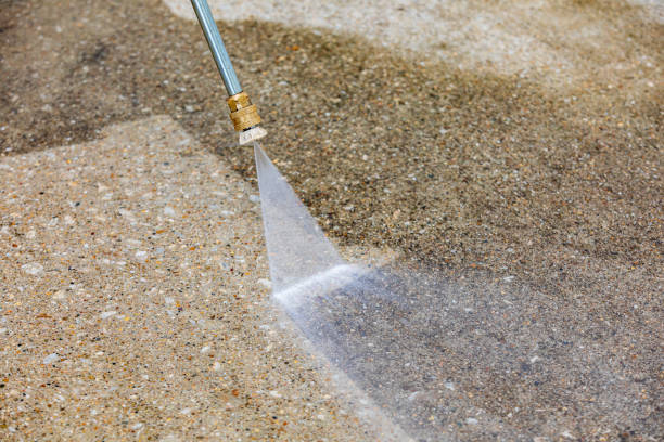 Best Sidewalk and Walkway Cleaning  in Shelbyvle, IL